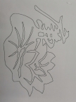 相亲的难---3