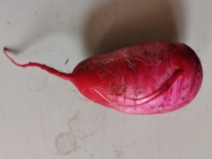 痛苦与快乐