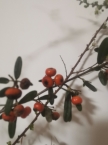 文学作品中的爱