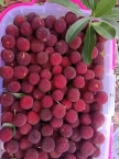 31-立夏的咋想