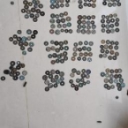 146-过客