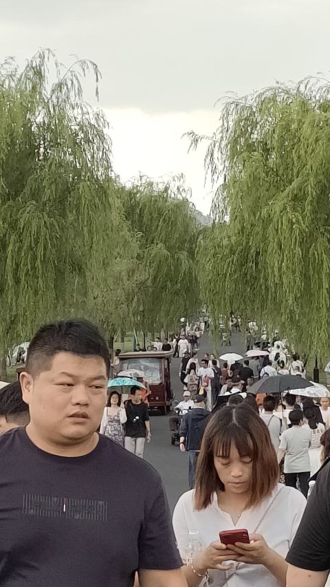 新会员的照片